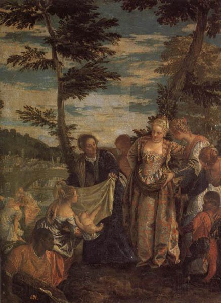 VERONESE (Paolo Caliari) Moses Saved from the Waters of the Nile Spain oil painting art
